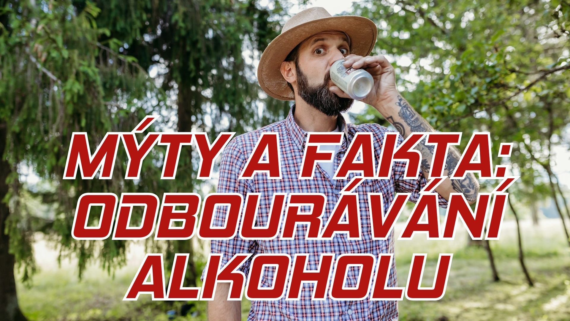 odbouravani alkoholu
